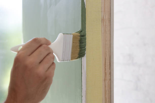 Best Black Mold Removal  in Medicine Lodge, KS