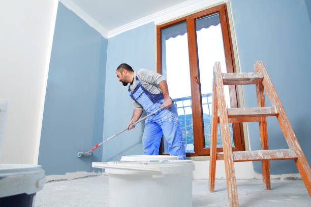 Best Mold Remediation for Healthcare Facilities  in Medicine Lodge, KS
