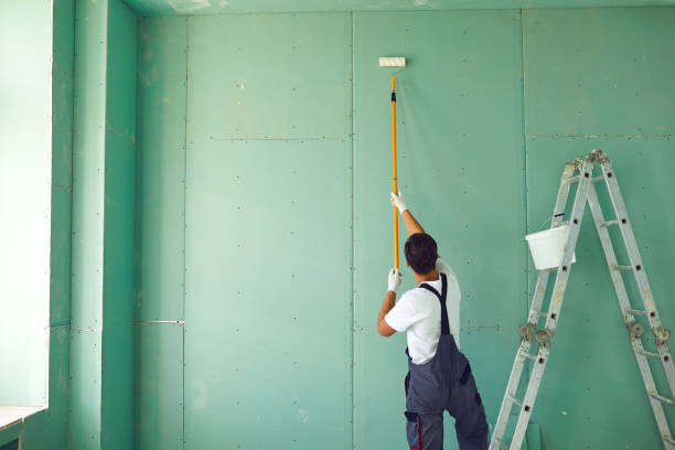 Best Residential Mold Inspection & Testing  in Medicine Lodge, KS