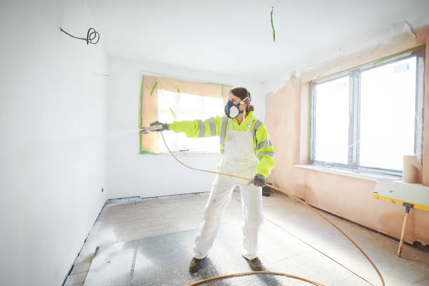 Trusted Medicine Lodge, KS Mold Removal Experts
