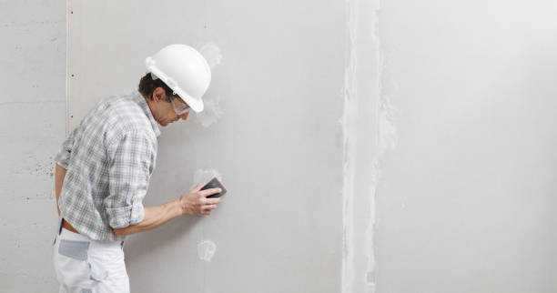 Best Commercial Mold Inspection  in Medicine Lodge, KS