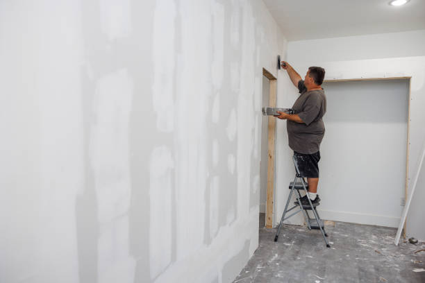 Best Mold Prevention Services  in Medicine Lodge, KS