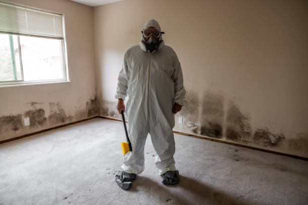 Best HVAC Mold Inspection and Cleaning  in Medicine Lodge, KS