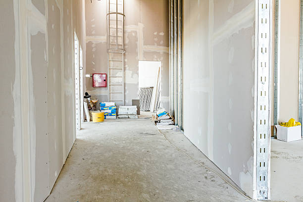 Best Mold Removal for HVAC Installations  in Medicine Lodge, KS
