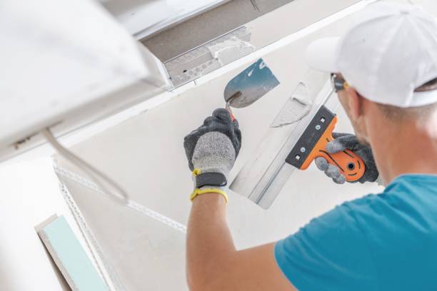 Best Asbestos and Lead Testing During Mold Inspection  in Medicine Lodge, KS